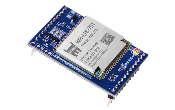 Pin Cat-1 module
