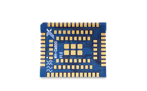 CAT1 MODULE