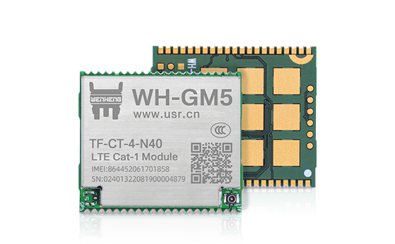 Cat-1 module