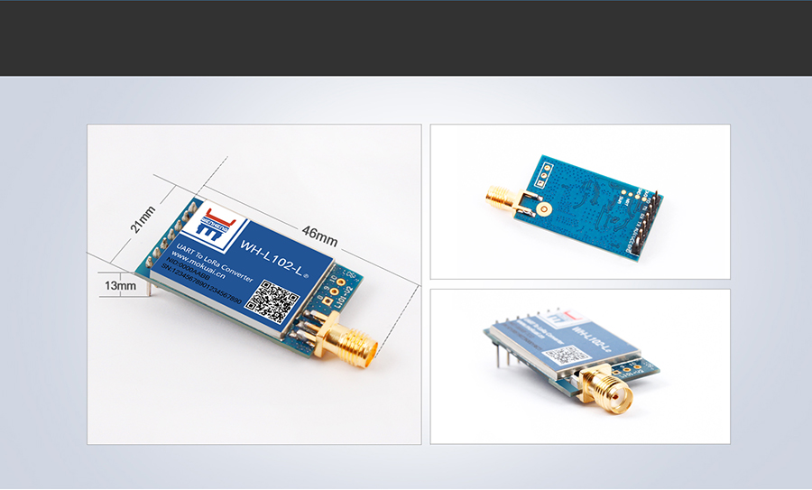 Pin type, low frequency half duplex LoRa module