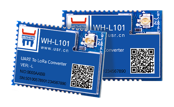 LoRa module