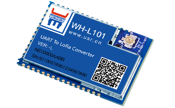 LoRa module
