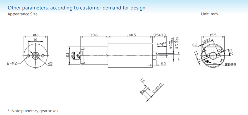 Planetary gear motor