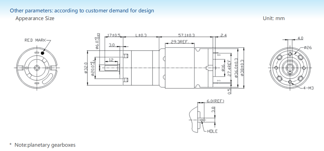 Planetary gear motor
