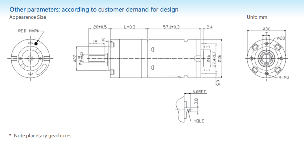 Planetary gear motor