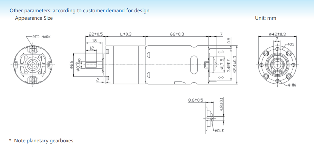 Planetary gear motor