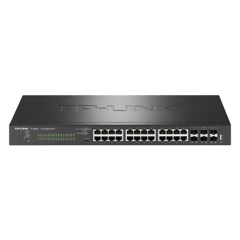 30 port 2.5G Layer 3 managed switches